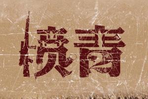 愤青 - 搜狗百科
