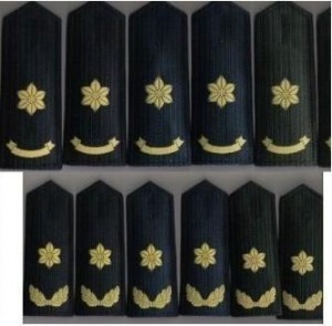 文职军衔 - 搜狗百科