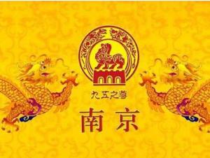 什么是九五至尊 300