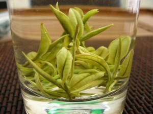 龙井茶