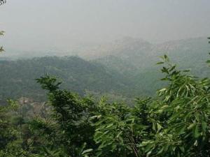 泗水县