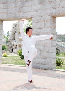 迷踪拳
