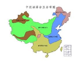 我国沼泽分布
