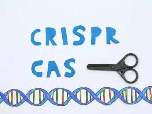CRISPR