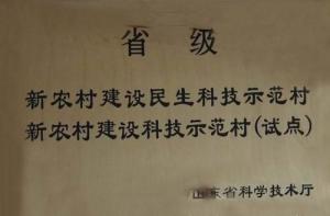 新农村建设示范村