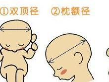 双顶径