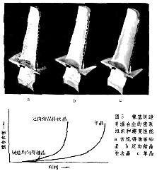 粉末冶金高温合金