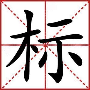 米字格中的“标”字