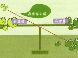 益生菌