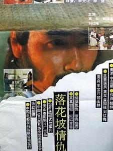 落花坡情仇海报