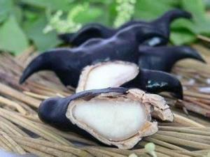 菱角药膳
