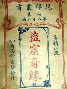 盗窟奇缘