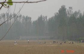 馆驿镇