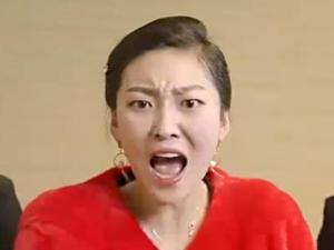 《范二青年之东北四人转》