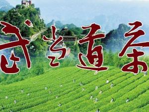 武当道茶