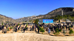 柳林县