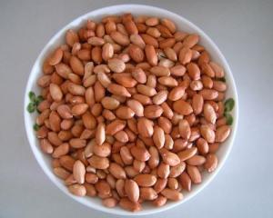 黄豆小米粥组图