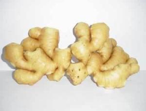 黄瓜炒肉片图册