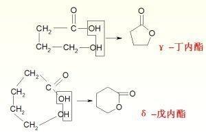 反应式