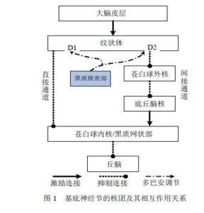 黑质纹状体系统-丘脑通路