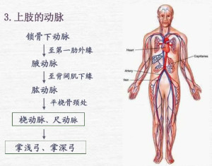 儿童迷走右锁骨下动脉图片