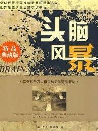 头脑风暴（一种创造能力的集体训练法）