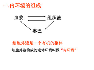 内环境