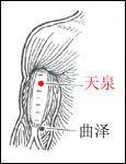 天池穴