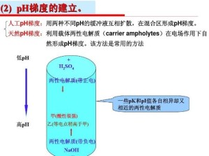 离子交换层析