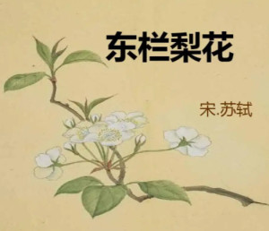 东栏梨花
