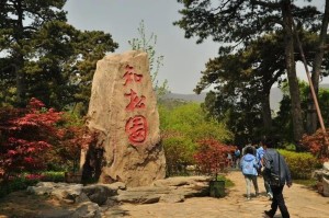 知松园