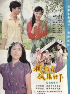 相约在凤尾竹下