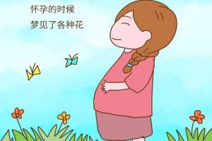 胎梦