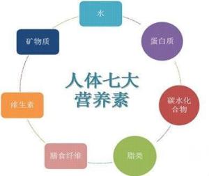 微量营养素