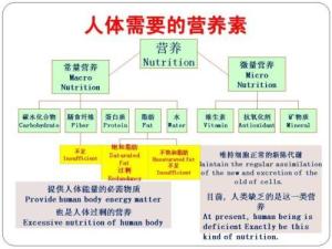 微量营养素