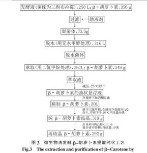 微生物发酵β-胡萝卜素提纯工艺