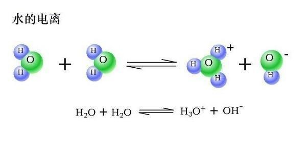 水的电离