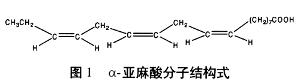 α—亚麻酸分子结构