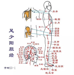 人体经络名称