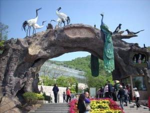 青岛石老人观光园