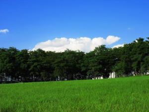 校园风光