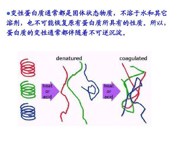 蛋白质变性海报图片