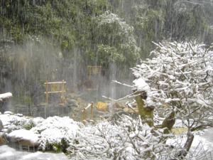 龙胜温泉雪景