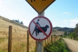 欧洲乡间道路上的奇特路标