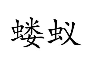 蝼蚁的英文单词