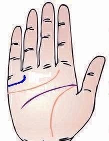 5：婚姻线末端上升