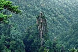 华山森林公园