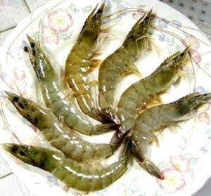 对虾