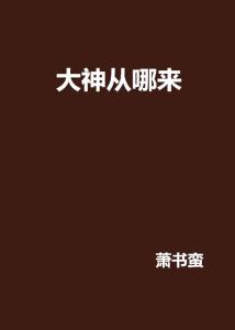 正版网络小说书籍 300