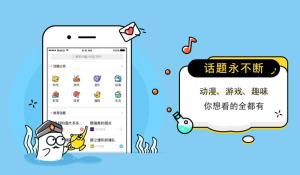 略懂